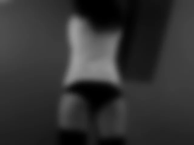 feesfel image 2
